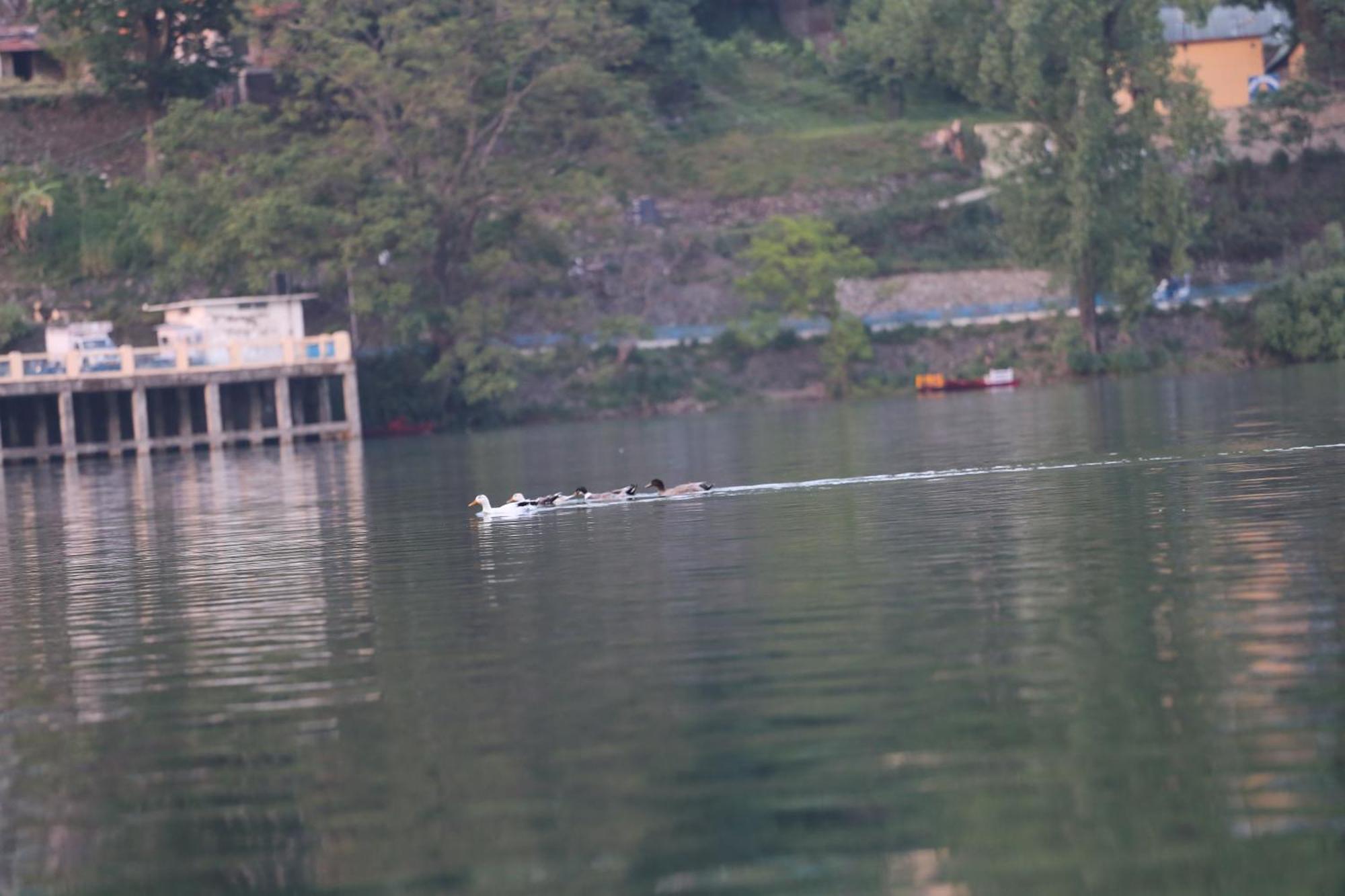 ROYAL ROSETTE LAKE VIEW Bhimtal Nainital Zewnętrze zdjęcie